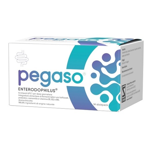 pegaso-enterodophilus-14stickp