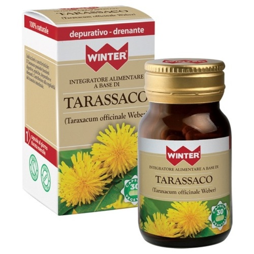 winter-tarassaco-30cps-veg