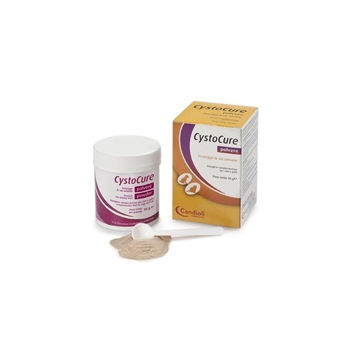 cystocure-forte-30g