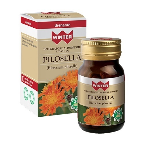 winter-pilosella-30cps-veg
