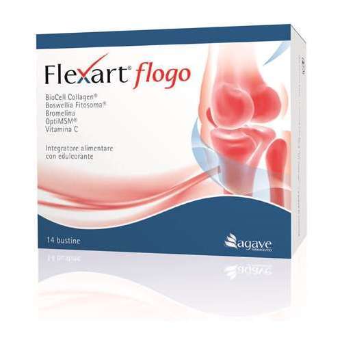 flexart-flogo-14bust