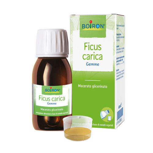 ficus-carica-mg-60ml-int