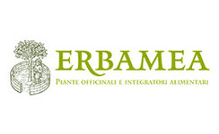 Erbamea