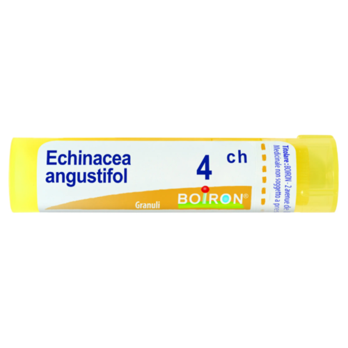 echinacea-angustifolia-4-ch-granuli