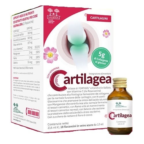 cartilagea-salugea-18fl