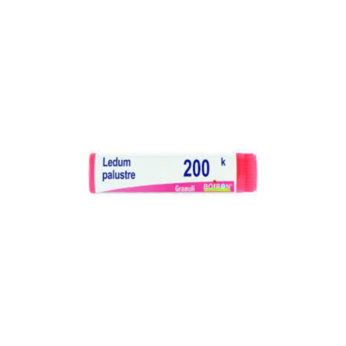 ledum-palustre-200k-globuli