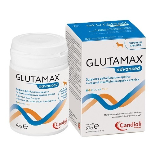 glutamax-advanced-30cpr